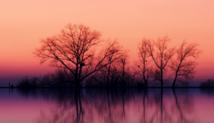 中超联赛最新动态：精彩纷呈